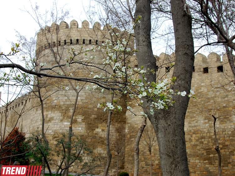 Весна в Баку (фотосессия)