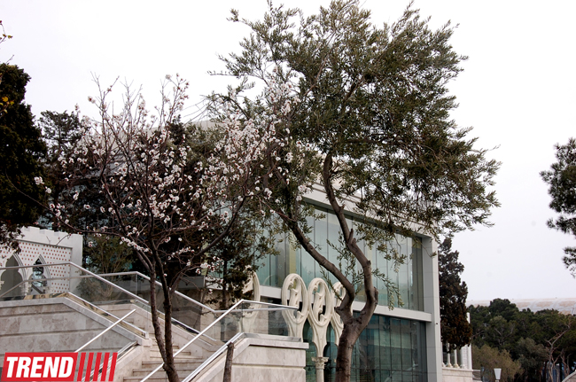 Весна в Баку (фотосессия)