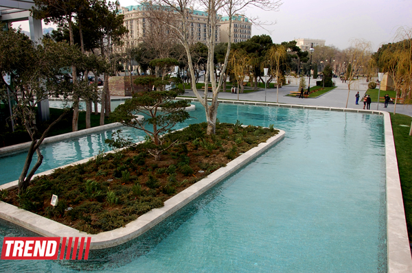 Весна в Баку (фотосессия)