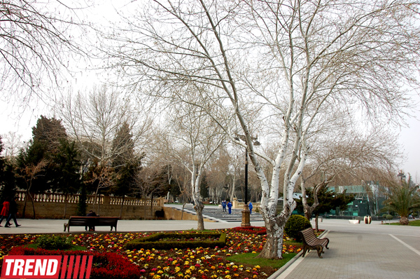 Весна в Баку (фотосессия)