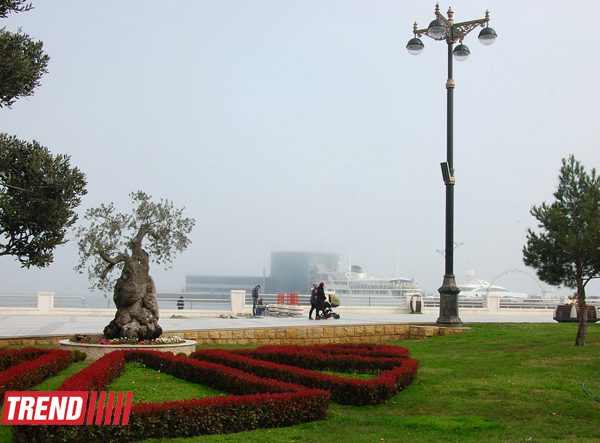 Весна в Баку (фотосессия)