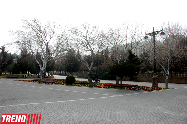 Весна в Баку (фотосессия)