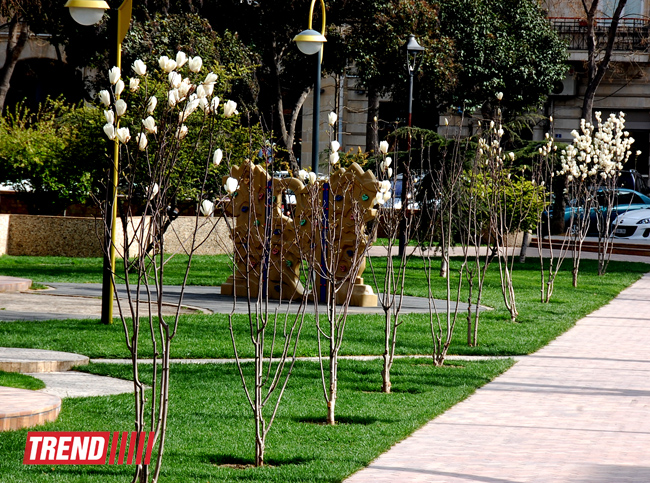 Весна в Баку (фотосессия)