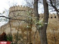 Весна в Баку (фотосессия)