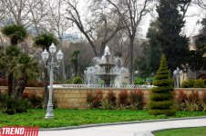 Весна в Баку (фотосессия)