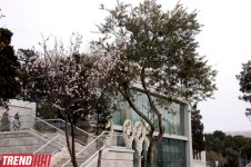 Весна в Баку (фотосессия)