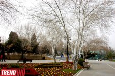 Весна в Баку (фотосессия)