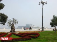 Весна в Баку (фотосессия)