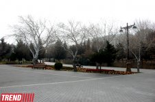 Весна в Баку (фотосессия)