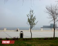 Весна в Баку (фотосессия)