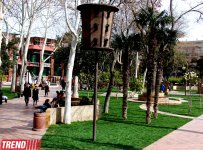 Весна в Баку (фотосессия)