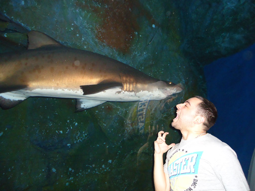 Дубай глазами режиссера Общественного телевидения Азербайджана (фотосессия)