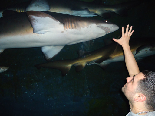 Дубай глазами режиссера Общественного телевидения Азербайджана (фотосессия)