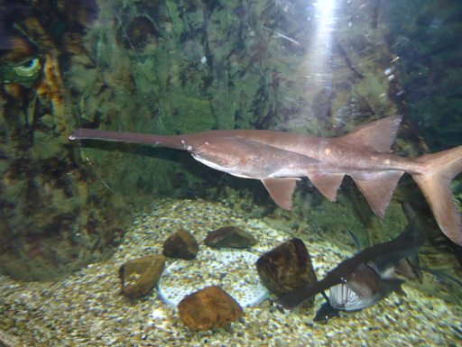 Дубай глазами режиссера Общественного телевидения Азербайджана (фотосессия)