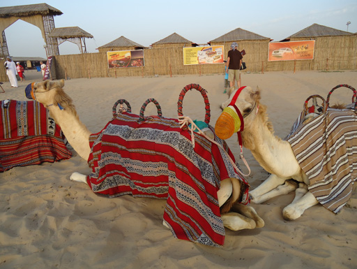 Дубай глазами режиссера Общественного телевидения Азербайджана (фотосессия)