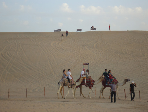 Дубай глазами режиссера Общественного телевидения Азербайджана (фотосессия)