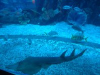 Дубай глазами режиссера Общественного телевидения Азербайджана (фотосессия)