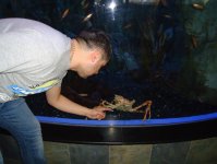 Дубай глазами режиссера Общественного телевидения Азербайджана (фотосессия)