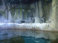 Дубай глазами режиссера Общественного телевидения Азербайджана (фотосессия)