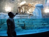 Дубай глазами режиссера Общественного телевидения Азербайджана (фотосессия)