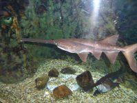 Дубай глазами режиссера Общественного телевидения Азербайджана (фотосессия)