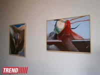 В Баку открылась выставка художника Ибрагима Ахрари (фотосессия)