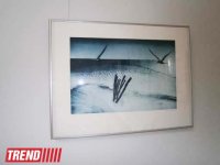 В Баку открылась выставка художника Ибрагима Ахрари (фотосессия)