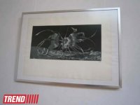В Баку открылась выставка художника Ибрагима Ахрари (фотосессия)
