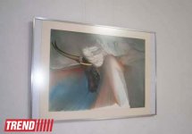 В Баку открылась выставка художника Ибрагима Ахрари (фотосессия)