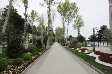 Президент Ильхам Алиев ознакомился в Мингячевире с реконструированным Набережным парком (ФОТО)