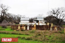 Путешествие в Хачмаз - гробница шейха Мовлана Юсиф Баба XIII века (фото, часть вторая)