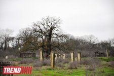 Путешествие в Хачмаз - гробница шейха Мовлана Юсиф Баба XIII века (фото, часть вторая)