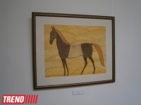 В Баку показали "Яркий мир" Аббаса Кязимова (фото)