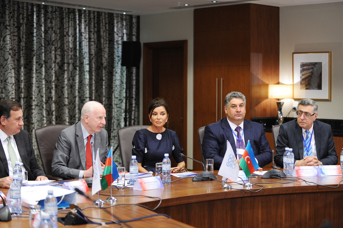 Мехрибан Алиева приняла участие в первом заседании Координационного комитета Европейских игр (ФОТО)