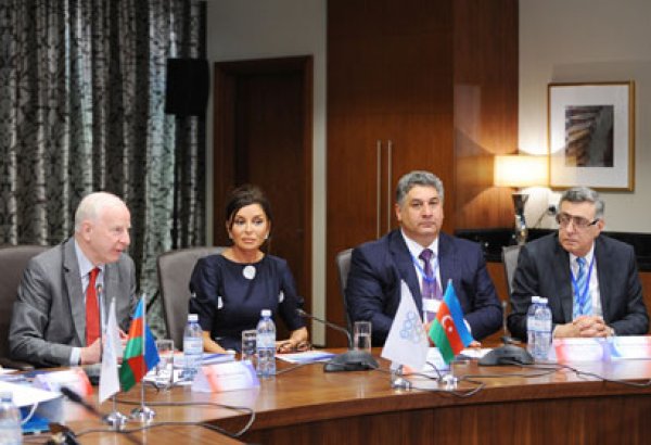 Мехрибан Алиева приняла участие в первом заседании Координационного комитета Европейских игр (ФОТО)