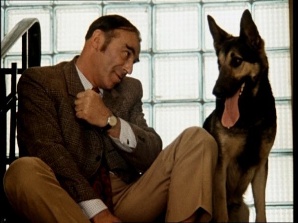 "Карабас-Барабас, товарищ Саахов и Шпак" едет в Баку (видео-фото)