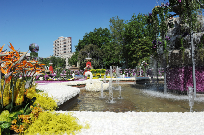 Президент Азербайджана и его супруга приняли участие в Празднике цветов в Баку (версия 2) (ФОТО)