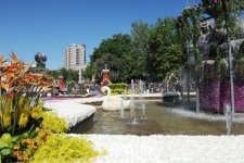 Президент Азербайджана и его супруга приняли участие в Празднике цветов в Баку (версия 2) (ФОТО)