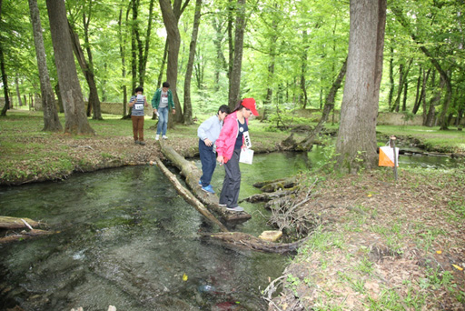 В Азербайджане состоялись международные соревнования по спортивному ориентированию (фото)