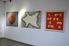 В Баку открылась выставка работ молодых художников (фото)