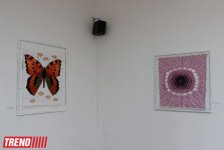 В Баку открылась выставка гобеленов Семени Гасымзаде: " Это искусство чувства и ощущения" (фото)