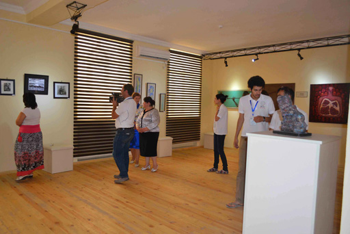 В Саатлы в рамках "Azerbaijan Art Festival-2013" состоялось открытие выставки (фото)