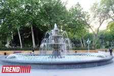 Филармонический сад Баку (фотосессия)