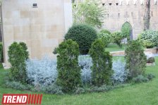 Филармонический сад Баку (фотосессия)