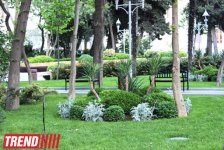 Филармонический сад Баку (фотосессия)