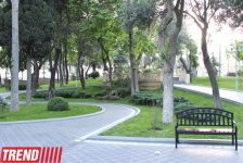 Филармонический сад Баку (фотосессия)