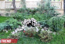 Филармонический сад Баку (фотосессия)