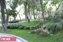 Филармонический сад Баку (фотосессия)
