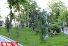 Филармонический сад Баку (фотосессия)