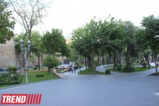Филармонический сад Баку (фотосессия)